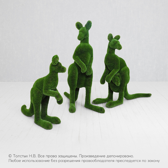 Комбинация кенгуру
