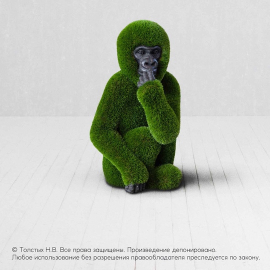 Детёныш Гориллы